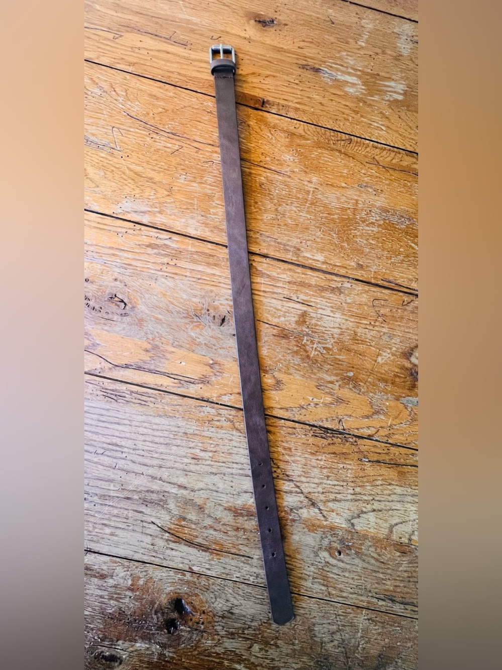 Carter’s Classic Brown Belt